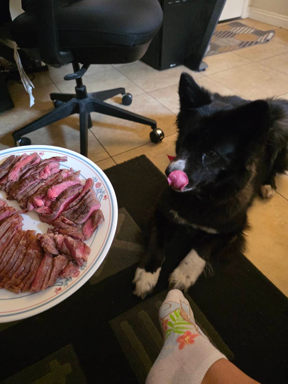 dinner date with prime rib... jealous? ð