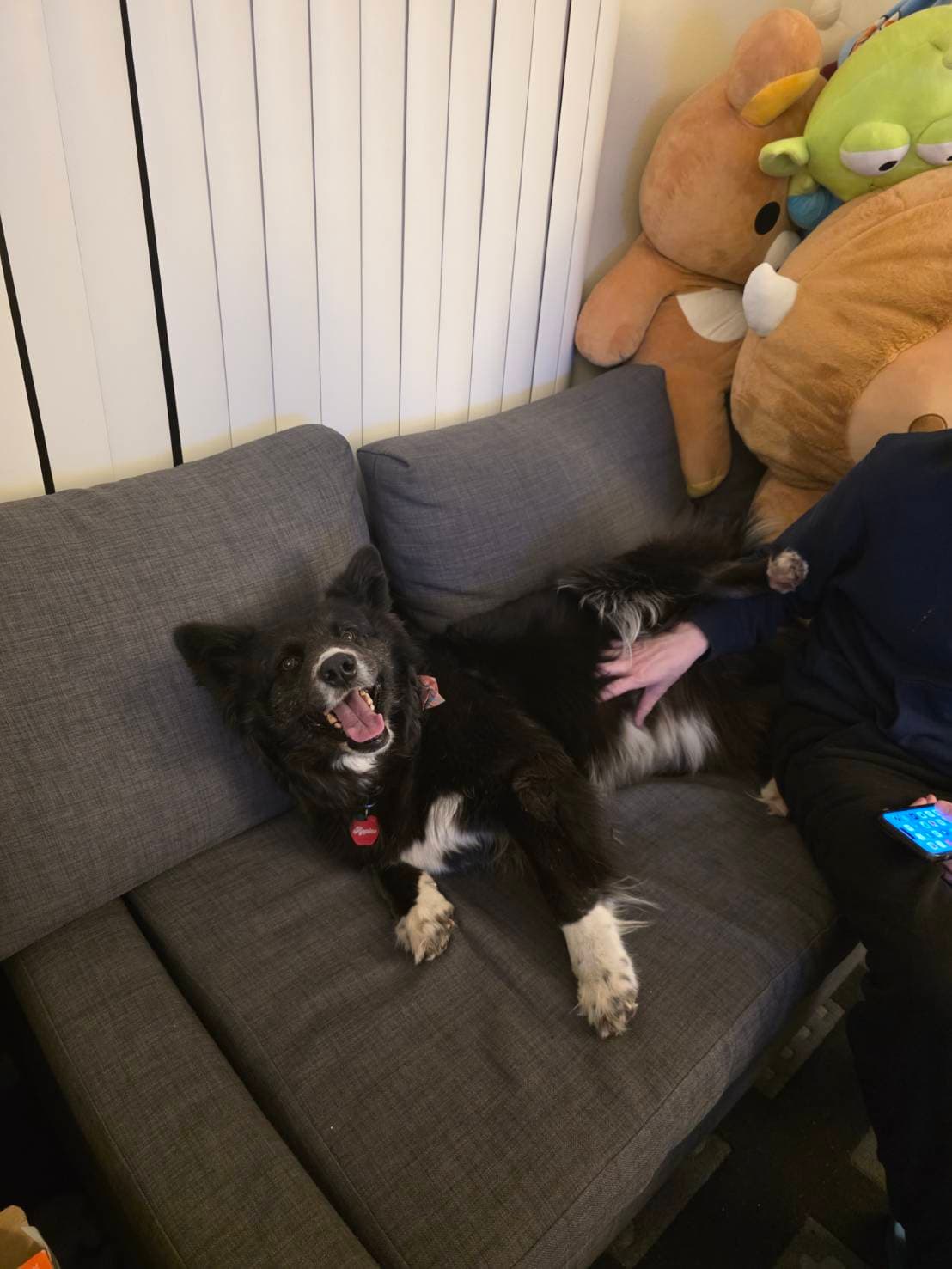 come sit next to me... I don't bite (much) ð